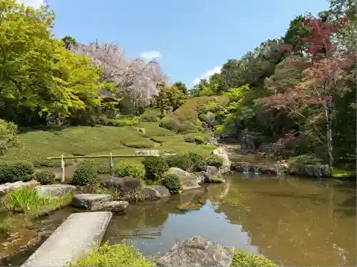 退蔵院(京都府)
