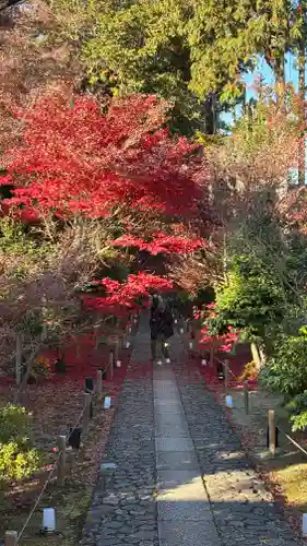 鹿王院(京都府)