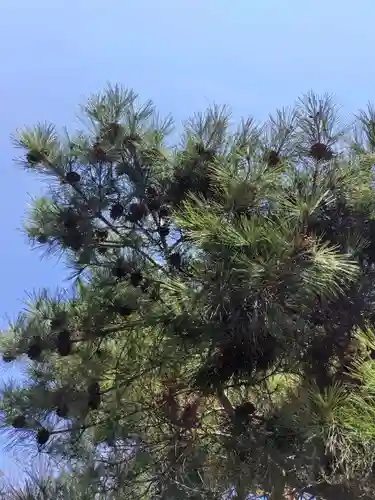 厚別神社(北海道)