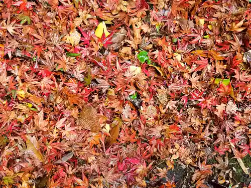 鰐淵寺(島根県)