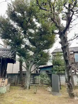 靍護稲荷神社の{uncategorized: "未分類", other: "その他", undefined: "問題あり", building: "その他建物", grave: "お墓", sacred_gate: "鳥居", guardian: "狛犬", statue: "像", buddha: "仏像", history: "歴史", nature: "自然", garden: "庭園", animal: "動物", pagoda: "塔", temizu: "手水舎", mountain_gate: "山門・神門", sanctuary: "本殿・本堂", subordinate: "末社・摂社", art: "芸術", scenery: "景色", jizo: "地蔵", ema: "絵馬", goshuin: "御朱印", omikuji: "おみくじ", items: "授与品その他", amulet: "お守り", goshuincho: "御朱印帳", eats: "食事", festival: "お祭り", votive_dance: "神楽", shichigosan: "七五三参", wedding: "結婚式", experience: "体験その他", initially: "初詣", around: "周辺", anti_infection: "感染症対策"}