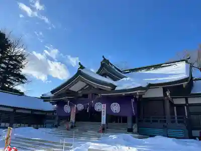 札幌護國神社の初詣