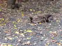 湯次神社(滋賀県)
