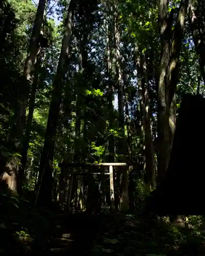 戸隠神社宝光社(長野県)
