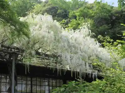 英勝寺(神奈川県)