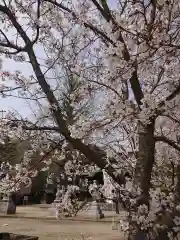 賀羅加波神社の自然