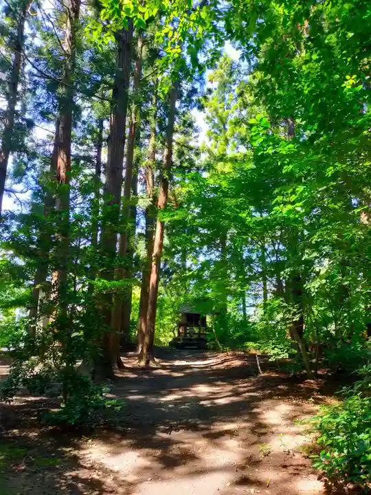 總宮神社の自然