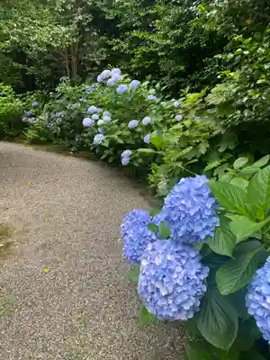 白毫寺(奈良県)
