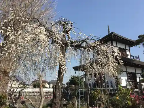 岩槻大師彌勒密寺(埼玉県)