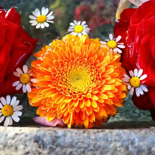 三津厳島神社の手水舎