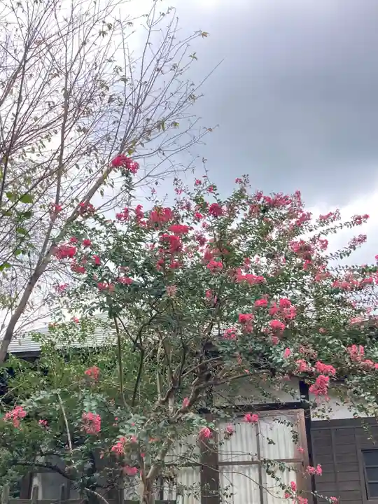 常陸二ノ宮 静神社(茨城県)