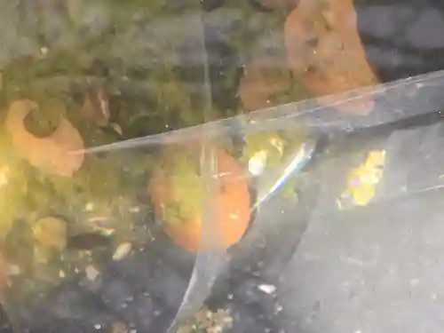 おふさ観音（観音寺）(奈良県)