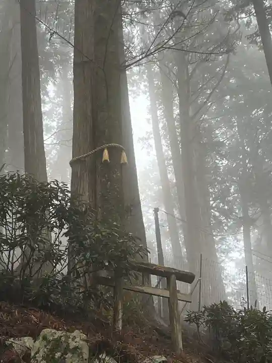 三峯神社(埼玉県)