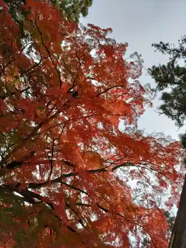 賀茂神社(宮城県)