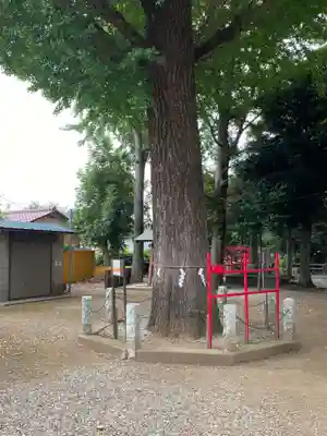 野々宮神社のその他建物