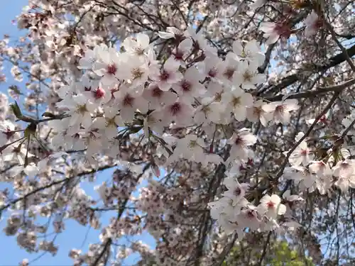 埼玉厄除け開運大師・龍泉寺（切り絵御朱印発祥の寺）の自然