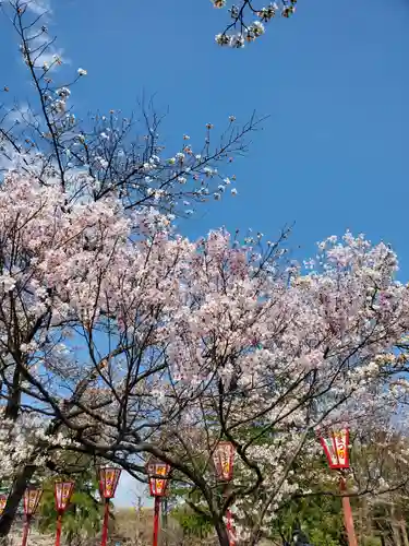 開成山大神宮の自然