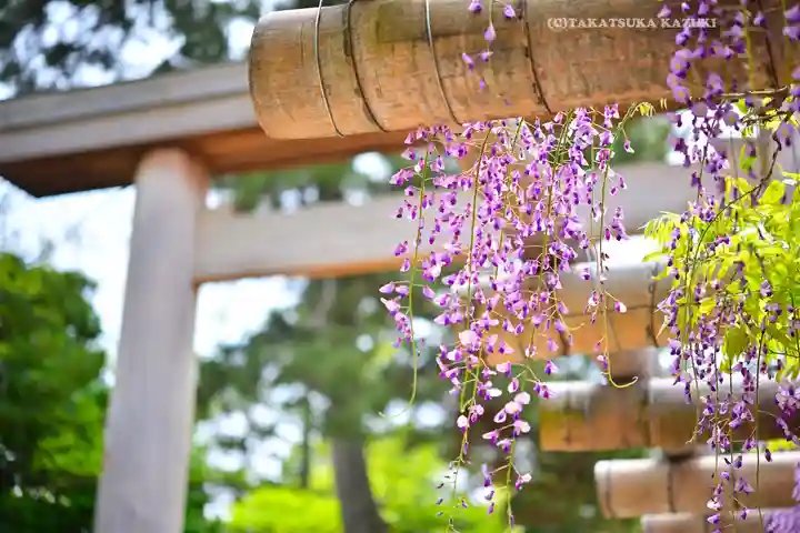 越ヶ谷久伊豆神社(埼玉県)