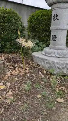 玉田神社(京都府)