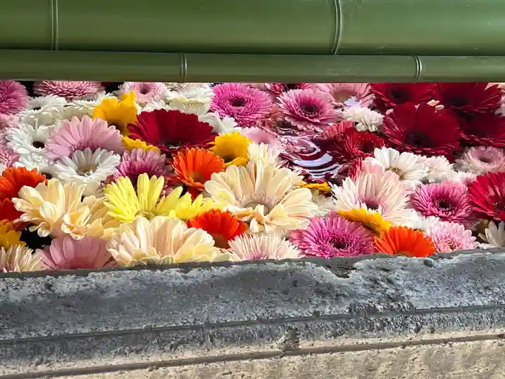 草加神社(埼玉県)