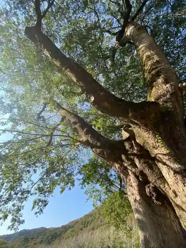 天石門別神社(岡山県)
