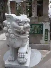 讃岐小白稲荷神社の狛犬