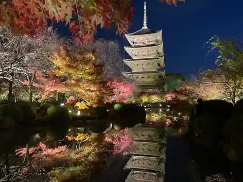 東寺（教王護国寺）(京都府)