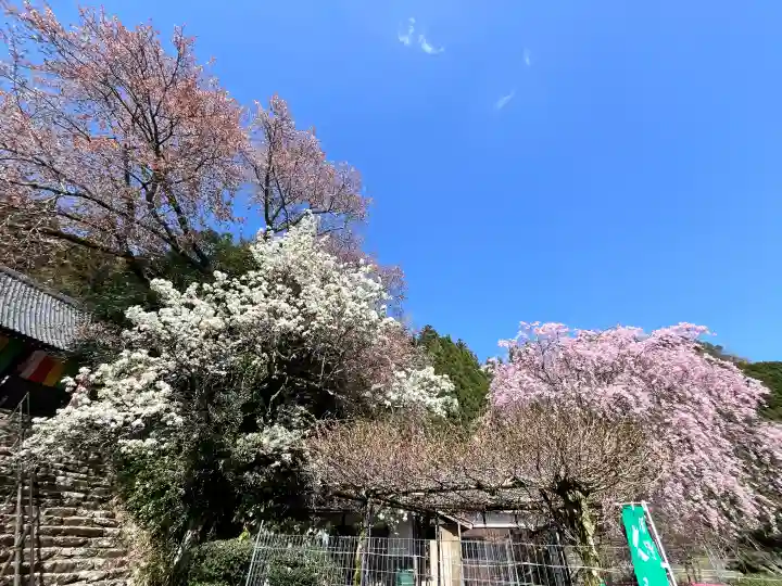 仏隆寺の{uncategorized: "未分類", other: "その他", undefined: "問題あり", building: "その他建物", grave: "お墓", sacred_gate: "鳥居", guardian: "狛犬", statue: "像", buddha: "仏像", history: "歴史", nature: "自然", garden: "庭園", animal: "動物", pagoda: "塔", temizu: "手水舎", mountain_gate: "山門・神門", sanctuary: "本殿・本堂", subordinate: "末社・摂社", art: "芸術", scenery: "景色", jizo: "地蔵", ema: "絵馬", goshuin: "御朱印", omikuji: "おみくじ", items: "授与品その他", amulet: "お守り", goshuincho: "御朱印帳", eats: "食事", festival: "お祭り", votive_dance: "神楽", shichigosan: "七五三参", wedding: "結婚式", experience: "体験その他", initially: "初詣", around: "周辺", anti_infection: "感染症対策"}