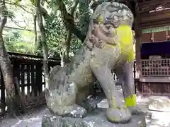 柳川総鎮守 日吉神社の狛犬