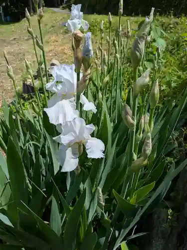 東光寺(岐阜県)