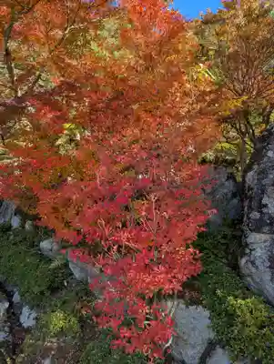 百済寺(滋賀県)