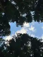 大宮温泉神社の自然