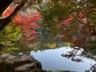 醍醐寺(京都府)