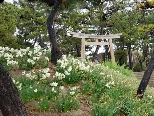 住吉神社の鳥居