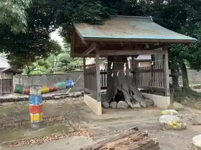 箱田神社の自然