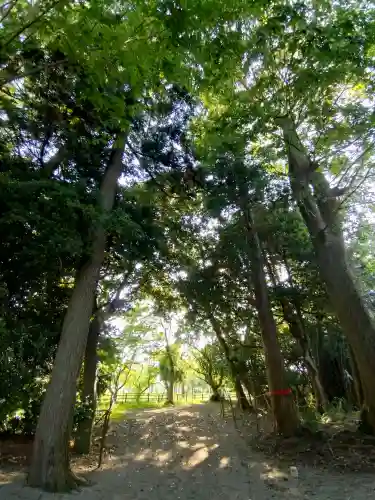 加茂神社の{uncategorized: "未分類", other: "その他", undefined: "問題あり", building: "その他建物", grave: "お墓", sacred_gate: "鳥居", guardian: "狛犬", statue: "像", buddha: "仏像", history: "歴史", nature: "自然", garden: "庭園", animal: "動物", pagoda: "塔", temizu: "手水舎", mountain_gate: "山門・神門", sanctuary: "本殿・本堂", subordinate: "末社・摂社", art: "芸術", scenery: "景色", jizo: "地蔵", ema: "絵馬", goshuin: "御朱印", omikuji: "おみくじ", items: "授与品その他", amulet: "お守り", goshuincho: "御朱印帳", eats: "食事", festival: "お祭り", votive_dance: "神楽", shichigosan: "七五三参", wedding: "結婚式", experience: "体験その他", initially: "初詣", around: "周辺", anti_infection: "感染症対策"}