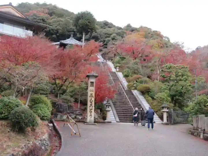 三室戸寺(京都府)
