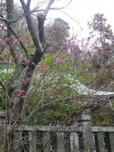 御霊神社の自然