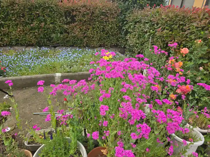 光源寺(大阪府)