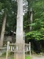 諏訪大社の自然