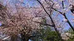 靖國神社の自然