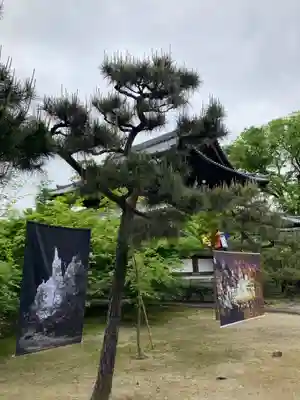 興聖寺(京都府)