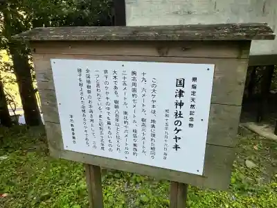 國津神社の{uncategorized: "未分類", other: "その他", undefined: "問題あり", building: "その他建物", grave: "お墓", sacred_gate: "鳥居", guardian: "狛犬", statue: "像", buddha: "仏像", history: "歴史", nature: "自然", garden: "庭園", animal: "動物", pagoda: "塔", temizu: "手水舎", mountain_gate: "山門・神門", sanctuary: "本殿・本堂", subordinate: "末社・摂社", art: "芸術", scenery: "景色", jizo: "地蔵", ema: "絵馬", goshuin: "御朱印", omikuji: "おみくじ", items: "授与品その他", amulet: "お守り", goshuincho: "御朱印帳", eats: "食事", festival: "お祭り", votive_dance: "神楽", shichigosan: "七五三参", wedding: "結婚式", experience: "体験その他", initially: "初詣", around: "周辺", anti_infection: "感染症対策"}