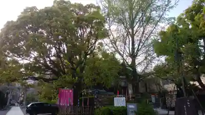 稲毛神社(神奈川県)