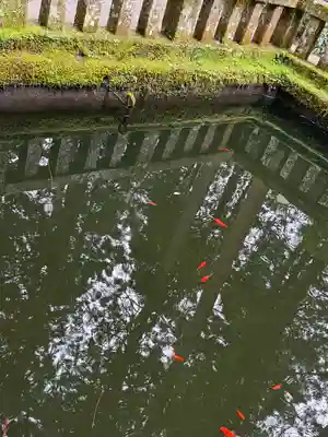 室生寺(奈良県)