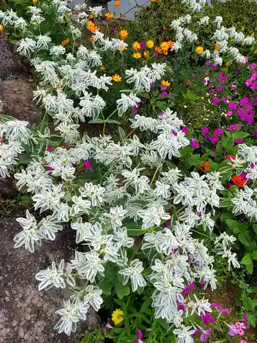 大鏑神社の自然