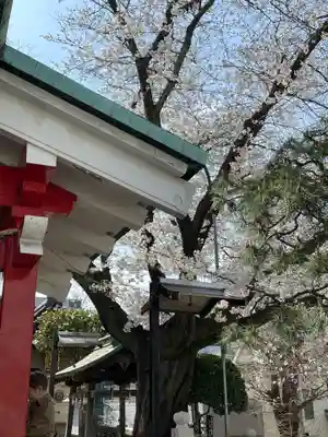元町厳島神社(神奈川県)