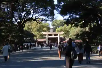 明治神宮(東京都)