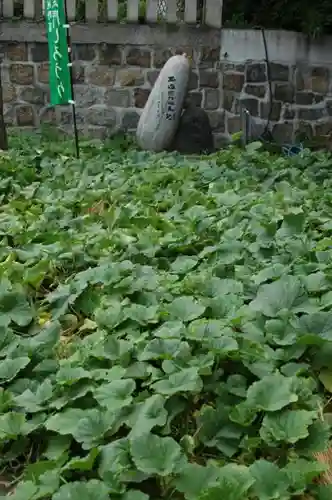 玉造稲荷神社の自然