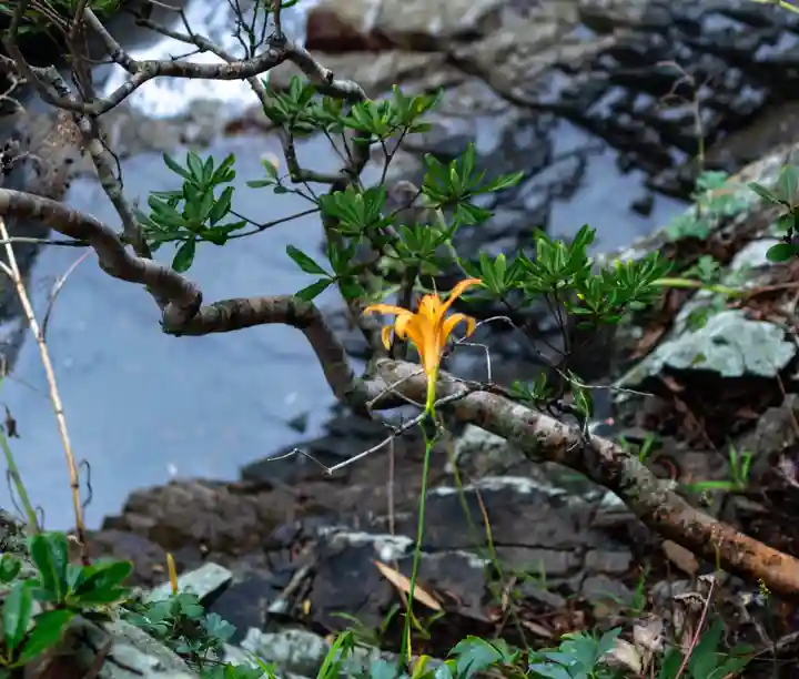 鵜戸神社(大御神社境内社)(宮崎県)